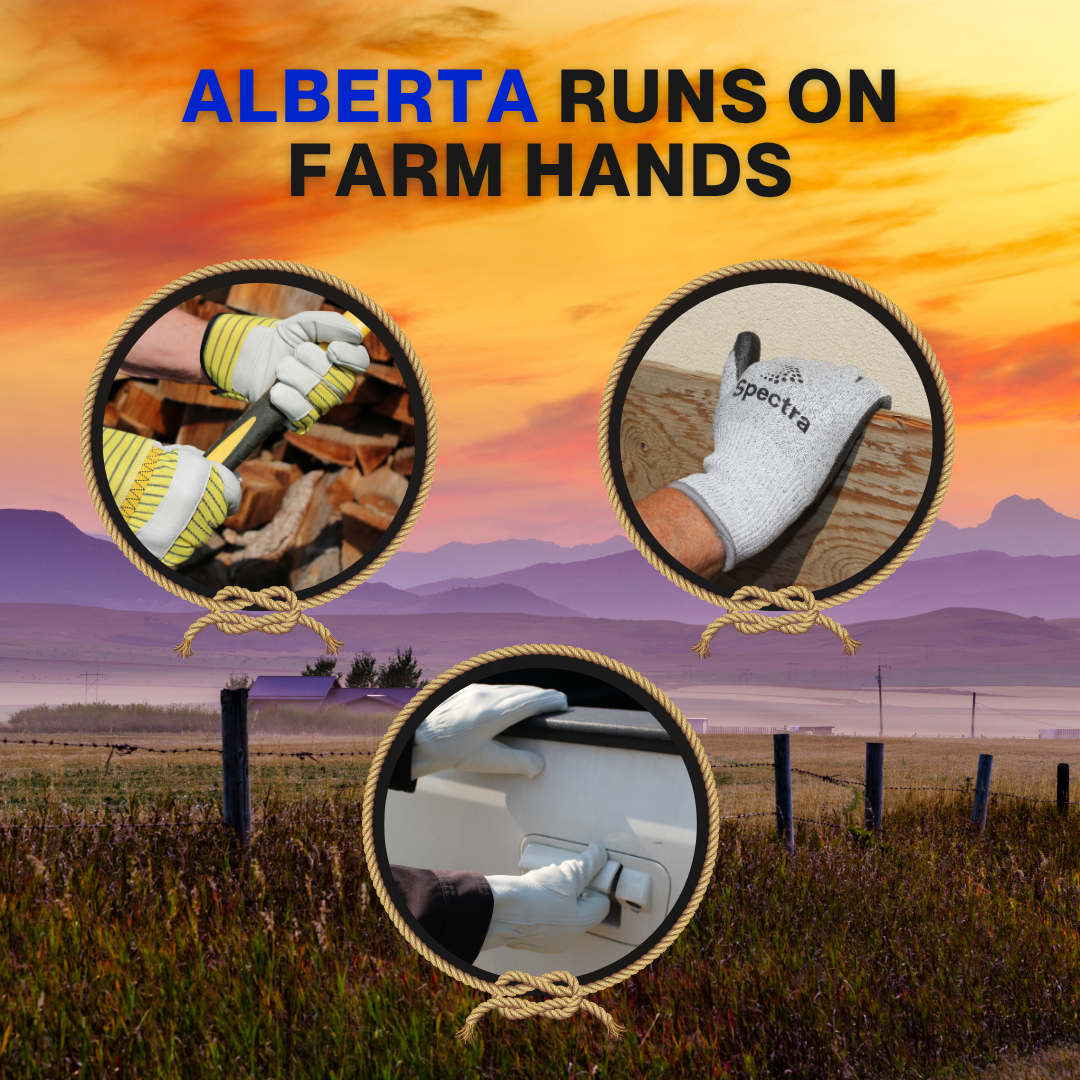 Alberta Runs on Farm Hands