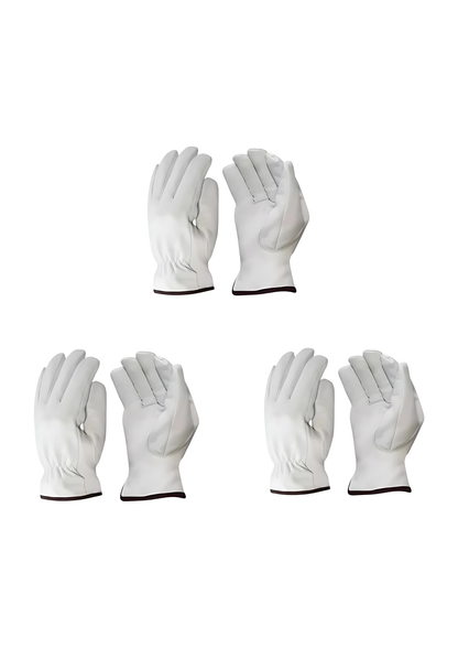 3-Pack White Drivers Unlined
